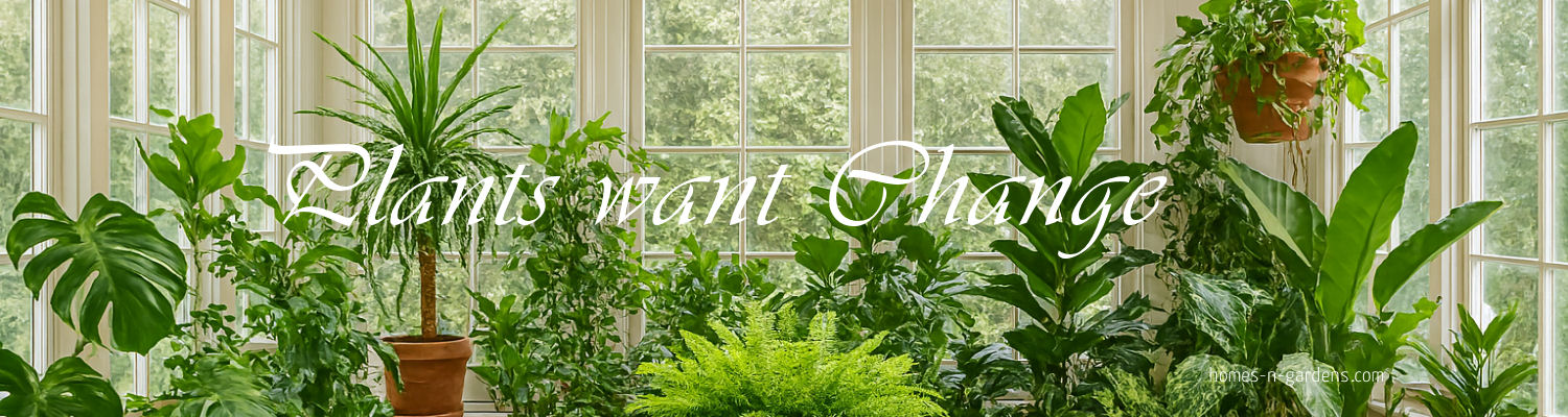 Indoor Plants Changing with the Seasons