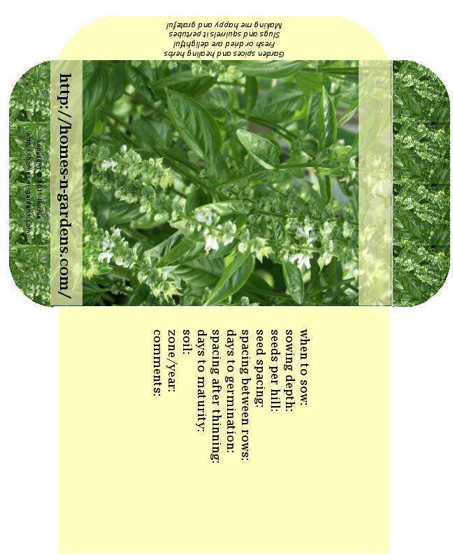 seed packet for herbs and spices - basil seeds